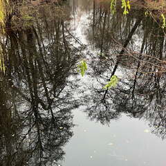 24-12-08 11-57-59 1761